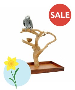 Java Tree Hardwood Mini Tree Parrot Table Top Play Stand